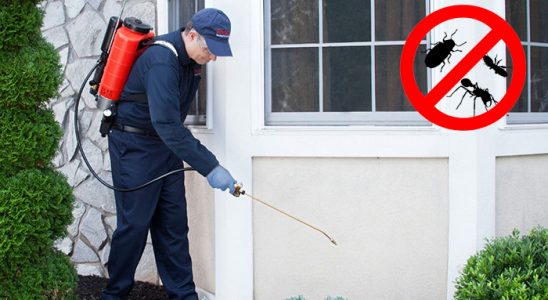 Selendi Böcek İlaçlama böcek ilaçlama ve haşere kontrolü — ilaclama-tr.com